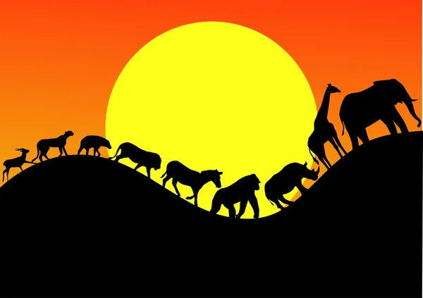 Défilé safari animal — Image vectorielle