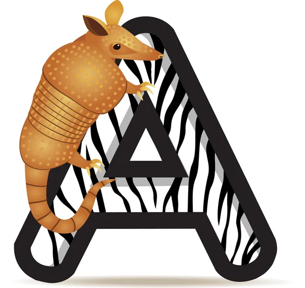 Alphabet A with Armadillo cartoon — Stock Vector