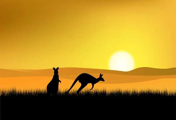 Kangaroo siluett — Stock vektor