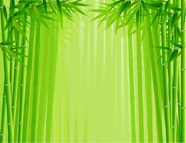 竹の森の背景 — ストックベクタ