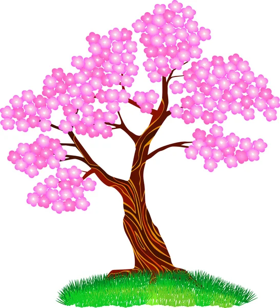Körsbärsträdsblomma — Stock vektor