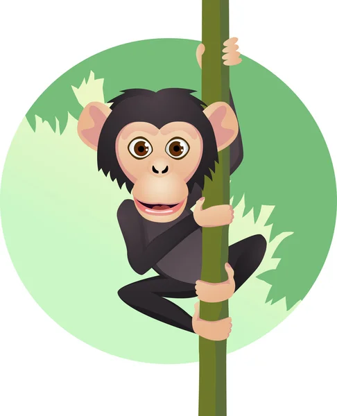Chimpansee cartoon — Stockvector