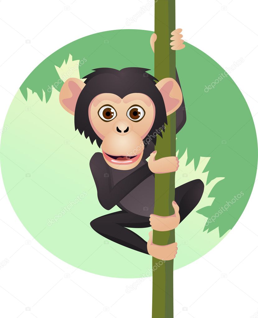 Chimpanzee cartoon Stock Vector Image by ©dagadu #5489649