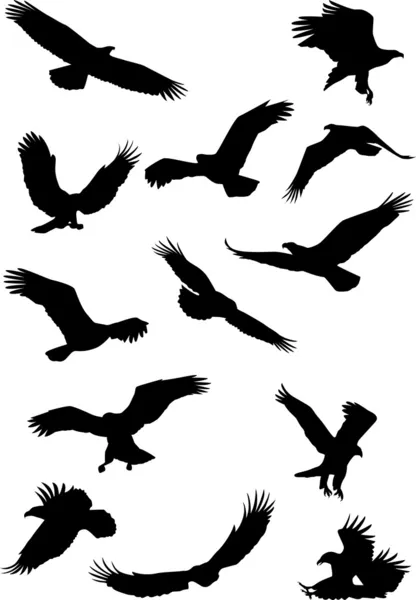 Colección de siluetas de águila — Vector de stock
