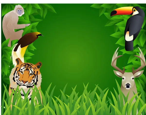 Animaux sauvages dans la jungle — Image vectorielle
