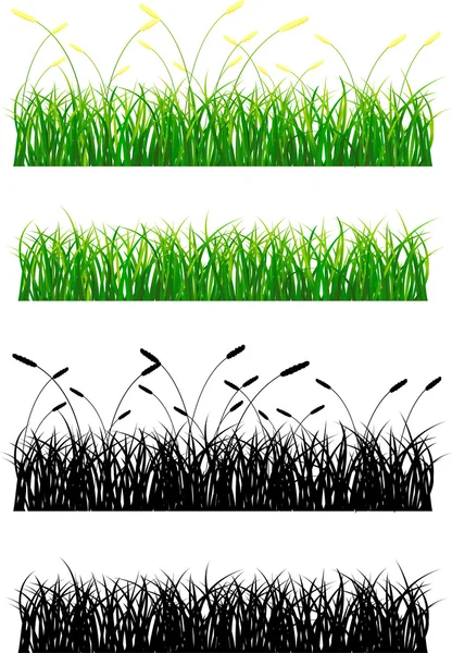 Green grass and silhouette — Stock Vector