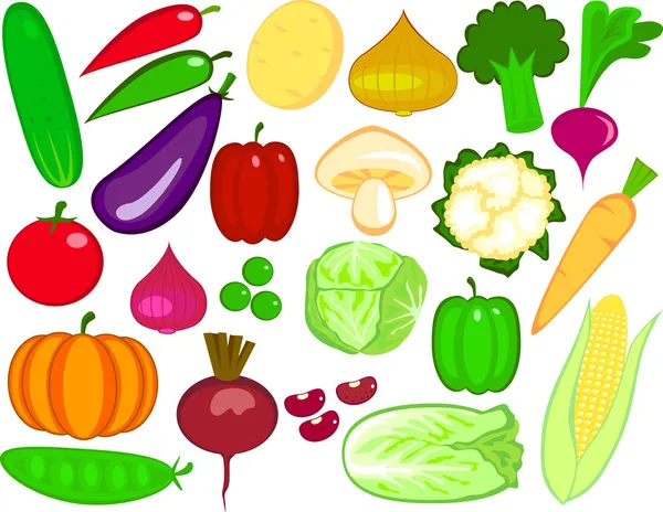 Овощная иллюстрация — стоковый вектор