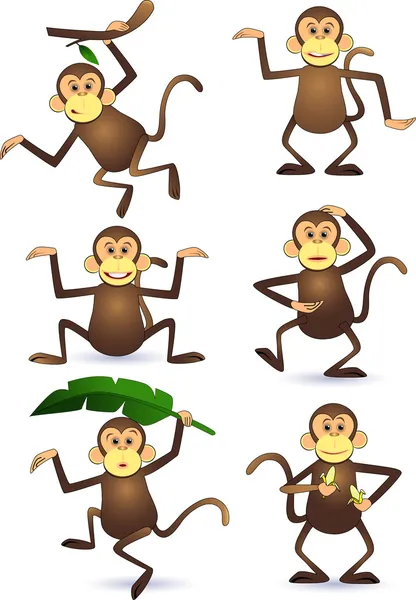Funny monkey — Stock Vector