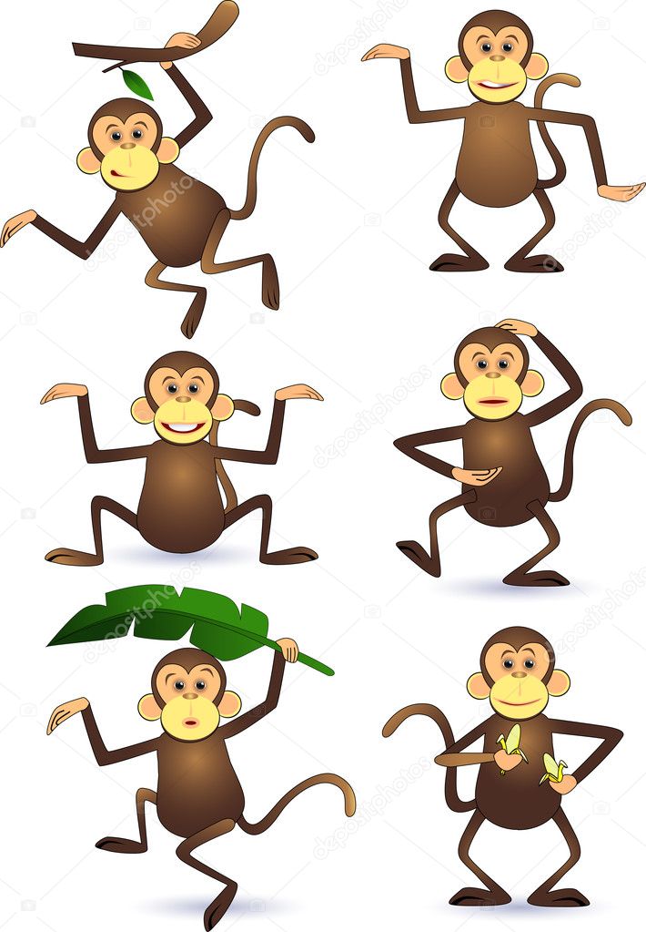 Funny monkey