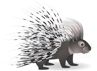 Cartoon porcupine clipart