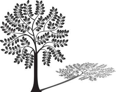 Tree illustration clipart