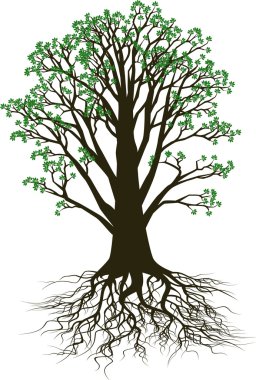 Tree vector clipart