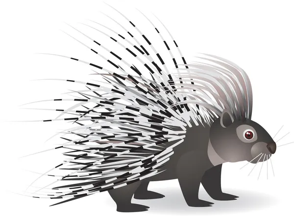 Cartoon porcupine — Stock Vector