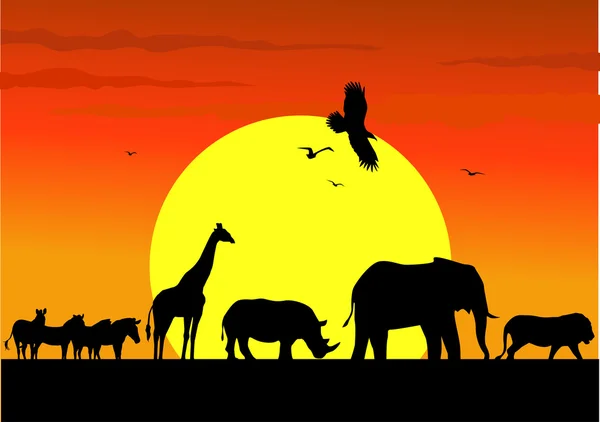 Wild leven silhouet in wild Afrika — Stockvector