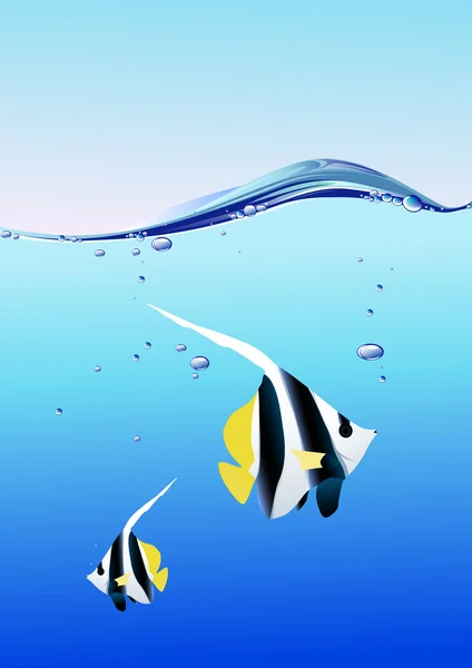 Bellissimo pesce nell'acqua blu — Vettoriale Stock