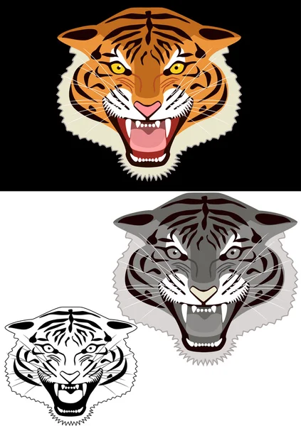 Tygrys głowa ilustracja — Wektor stockowy