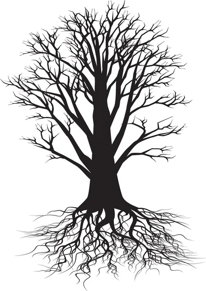 Ağaç siluet çizimi — Stok Vektör