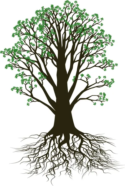 Ağaç Vektörü — Stok Vektör