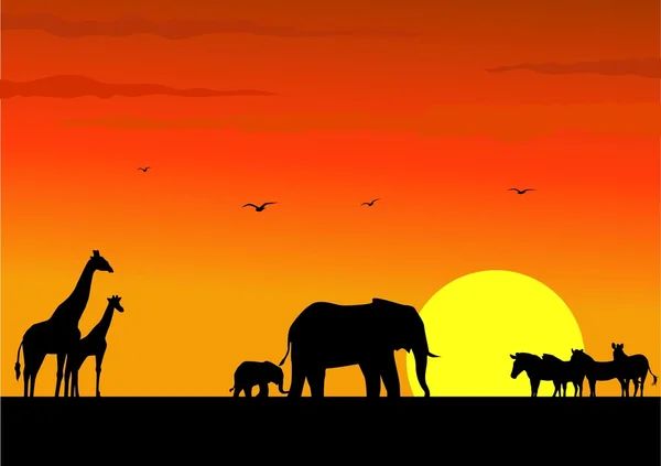 Africa animal silhouette — Stock Vector