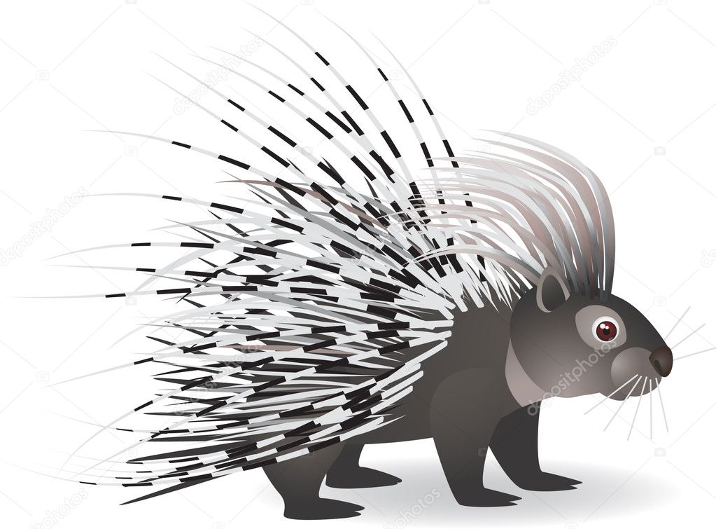 Cartoon porcupine Stock Vector Image by ©dagadu #5560163