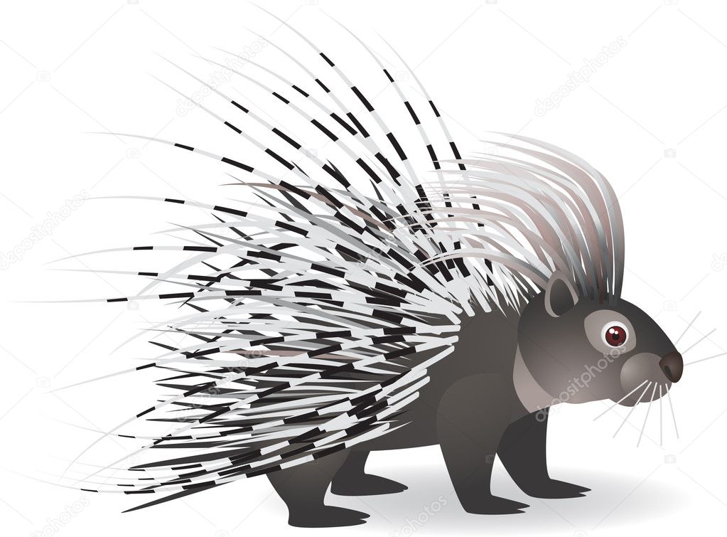 Cartoon porcupine