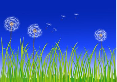 Dandelion clipart