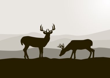 Deer in the beautiful nature clipart