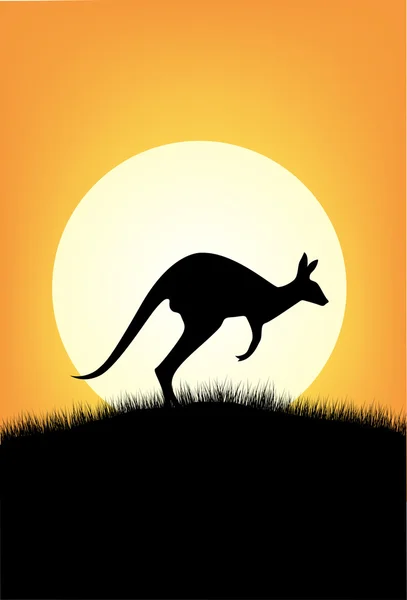 Kangoeroe silhouet — Stockvector