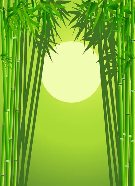 Fundo de árvore de bambu — Vetor de Stock