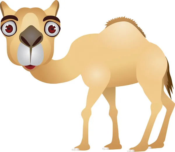 Верблюда мультфільм — стоковий вектор