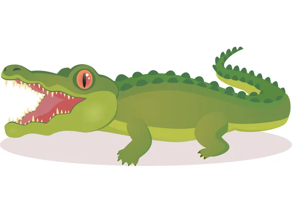 Krokodil cartoon — Stockvector