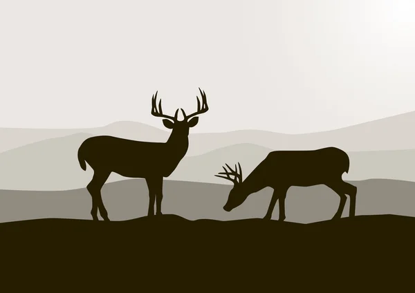 Deer in the beautiful nature — Stock Vector