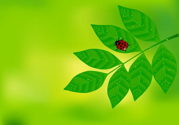 Grønn bladbakgrunn – stockvektor