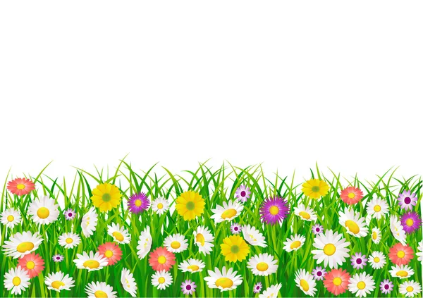 Flower field background — Stock Vector