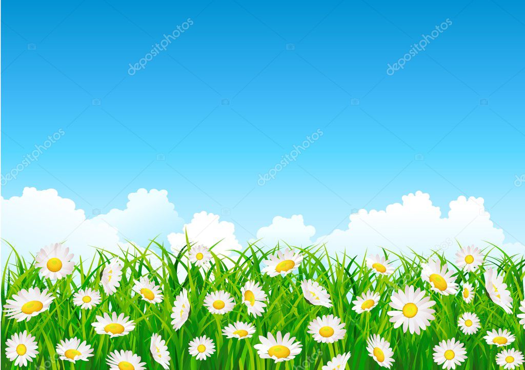 Flower field background