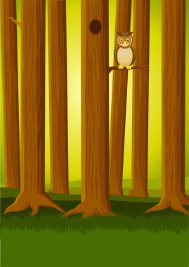 Owl in th forest clipart