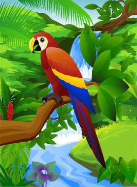 Parrot bird in the tropical forest clipart