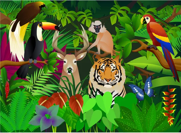 Animaux sauvages dans la jungle — Image vectorielle