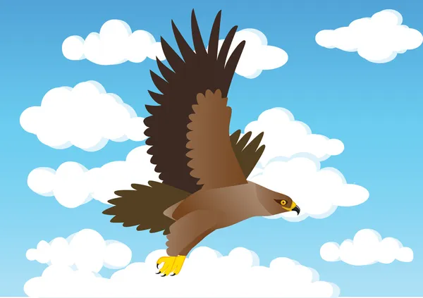 Hawk flying — Stock Vector