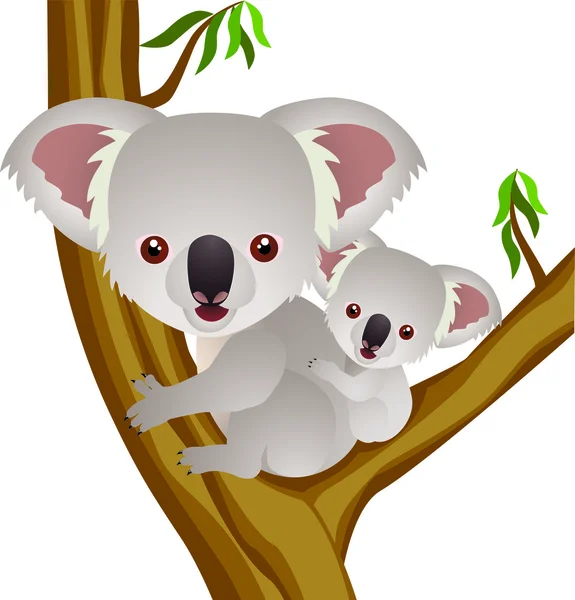 Dibujos animados Koala — Vector de stock
