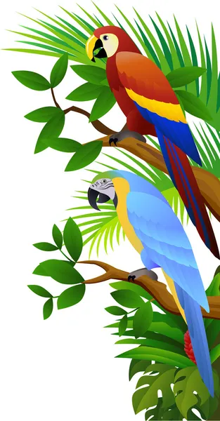 Parrot bird in the jungle — Stock Vector