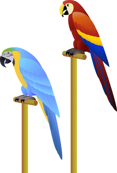 Ptak papuga — Wektor stockowy