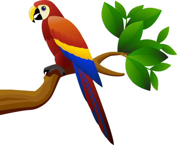 Πουλί παπαγάλος στη ζούγκλα — Διανυσματικό Αρχείο