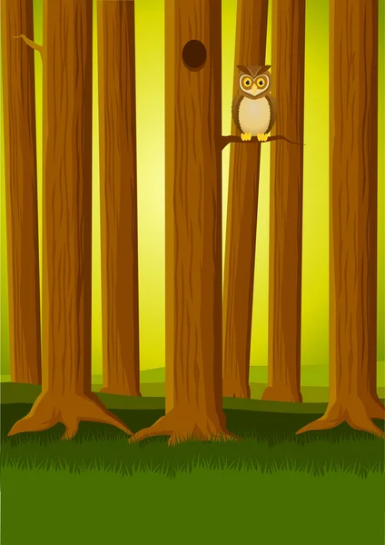 Owl in th forest — Stock Vector