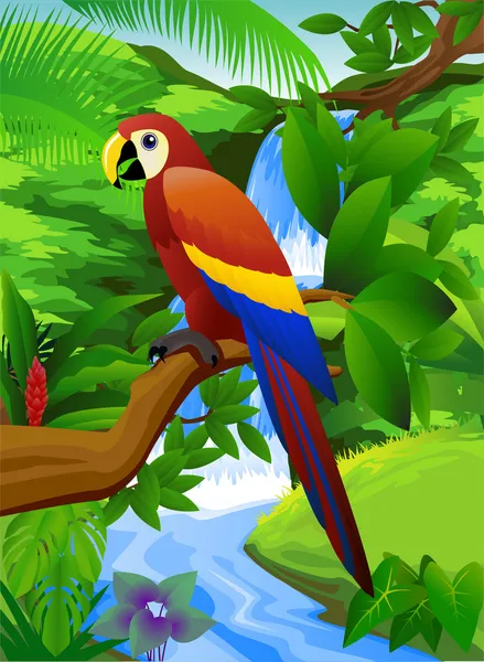 Parrot bird in the tropical forest — Stock Vector