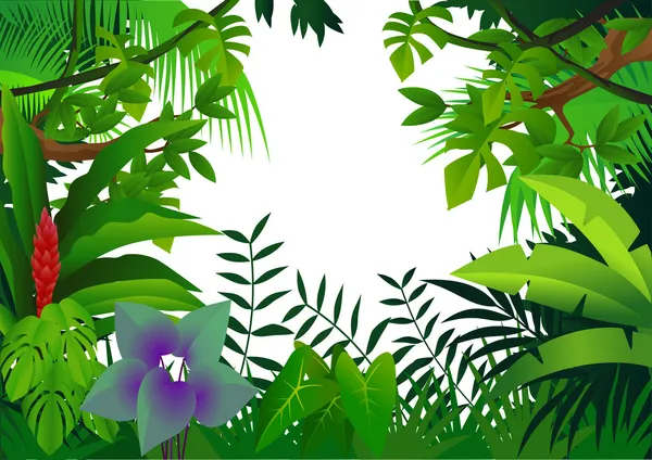 Selva tropical imágenes de stock de arte vectorial | Depositphotos