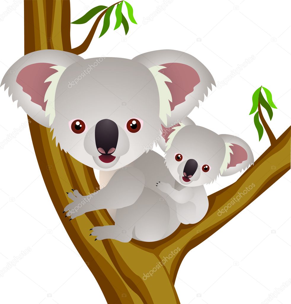 Koala cartoon