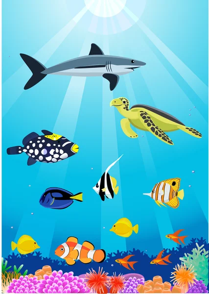 Ilustração da vida marinha — Vetor de Stock