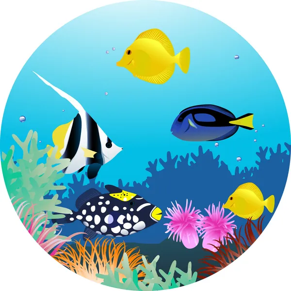 Ilustración de vida marina — Vector de stock