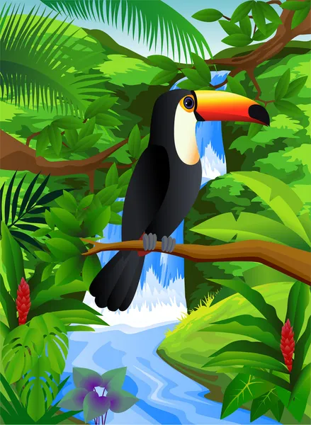 Oiseau toucan dans la forêt — Image vectorielle